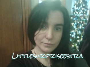 Littlesurpriseestra