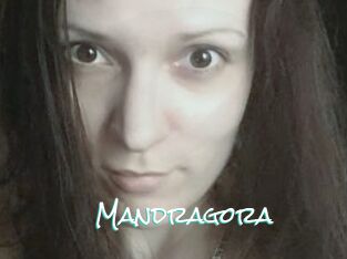 Mandragora