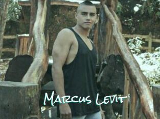 Marcus_Levit