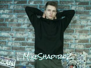 MikeShapiroZ