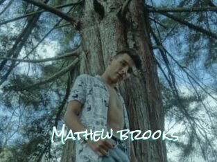 Mathew_brooks