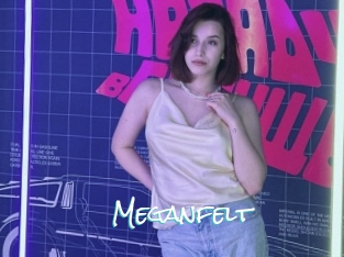 Meganfelt