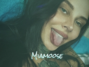 Miamoose