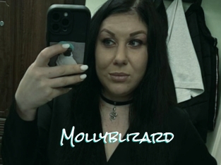 Mollyblizard