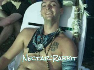 Nectar_Rabbit