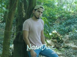 NoahDiaz