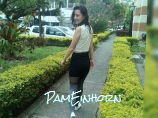 PamEinhorn