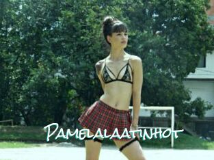 Pamelalaatinhot