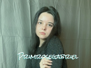 Primrosegabriel