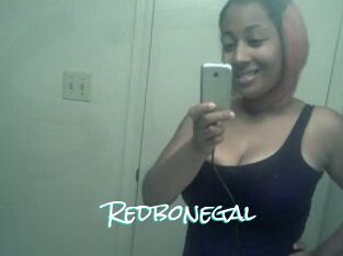 Redbonegal