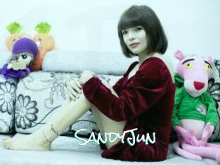 SandyJun