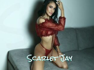 Scarlet_Jay