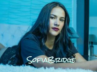 SofiaBridge