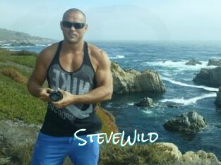 Steve_Wild