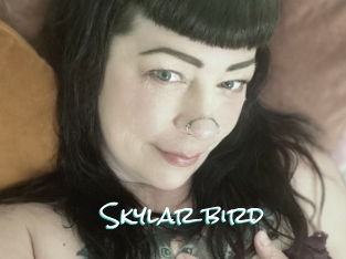 Skylar_bird