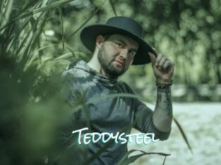 Teddysteel