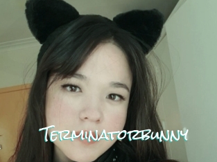 Terminatorbunny