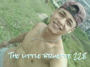 The_little_bruette_228