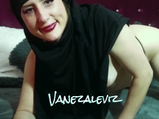 Vanezaleviz