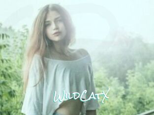 Wild_CatX