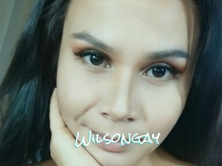 Wilsongay