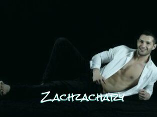 Zach_zachary