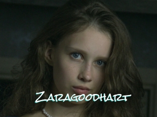 Zaragoodhart